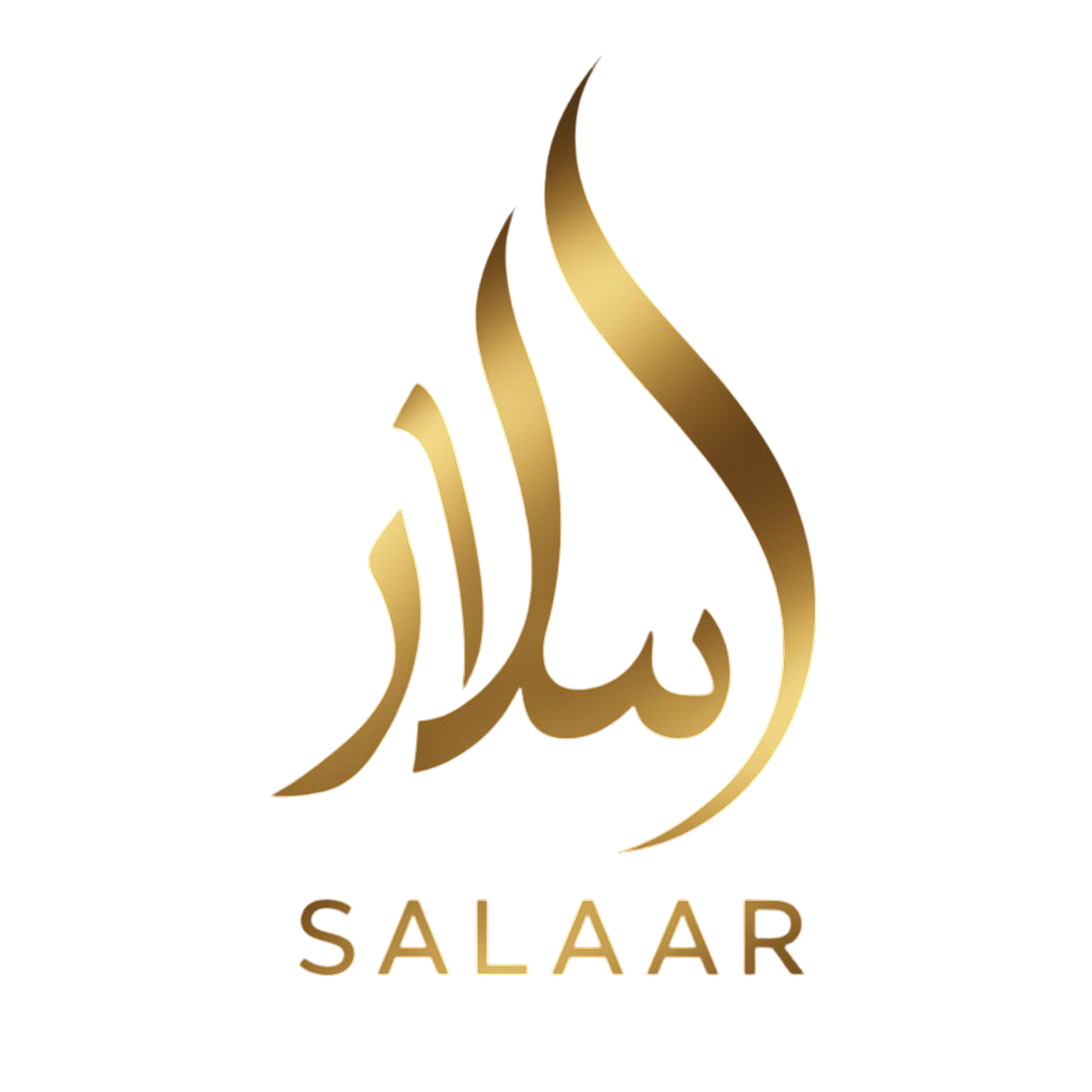 Salaar Trading LLC Logo